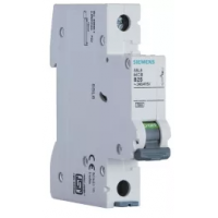 Single Pole MCB 20 Amp  C Betagard 5SL6